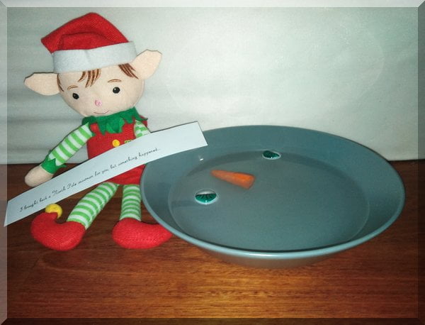 Christmas elf with a bowl of water containing two eyes and a carrot nose