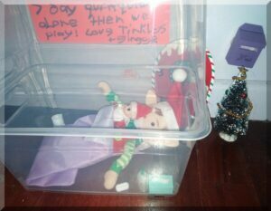 Two CHristmas elves in a clear box for quarantine